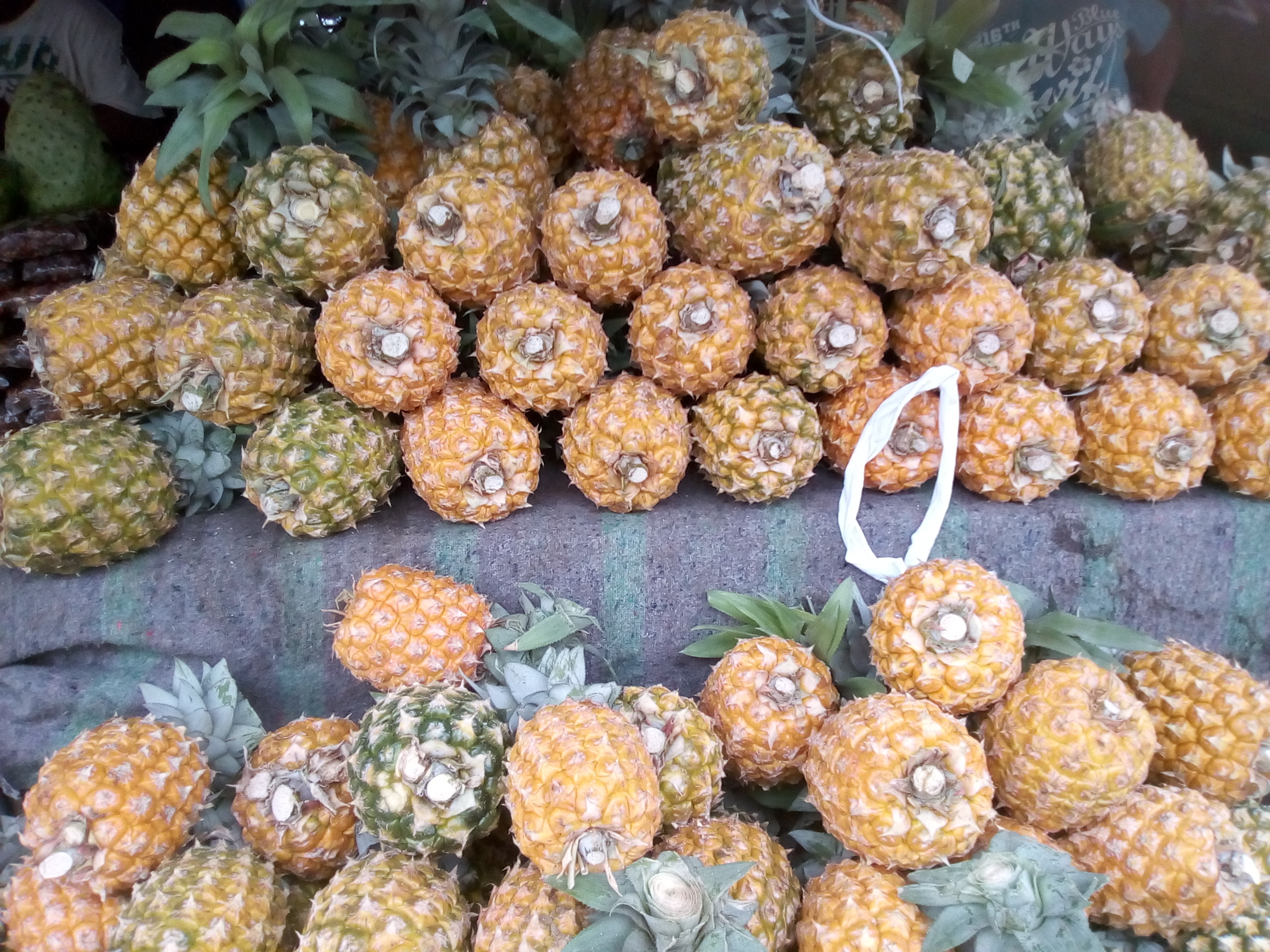 Piña