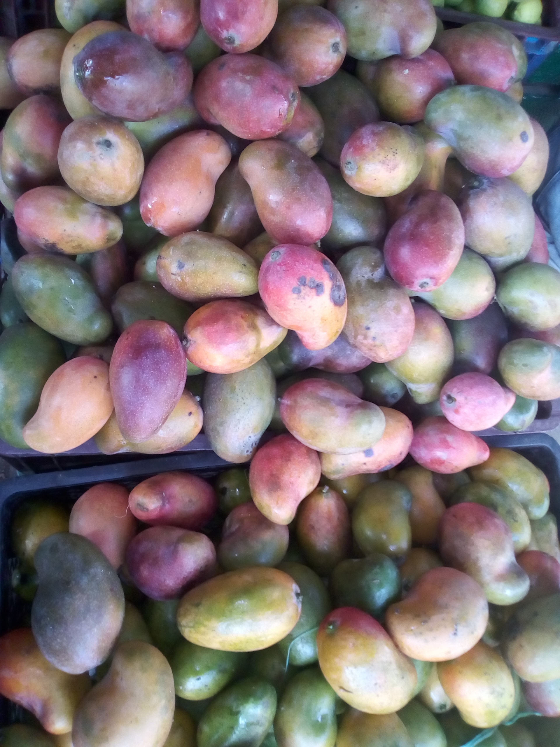 Mango de chupa