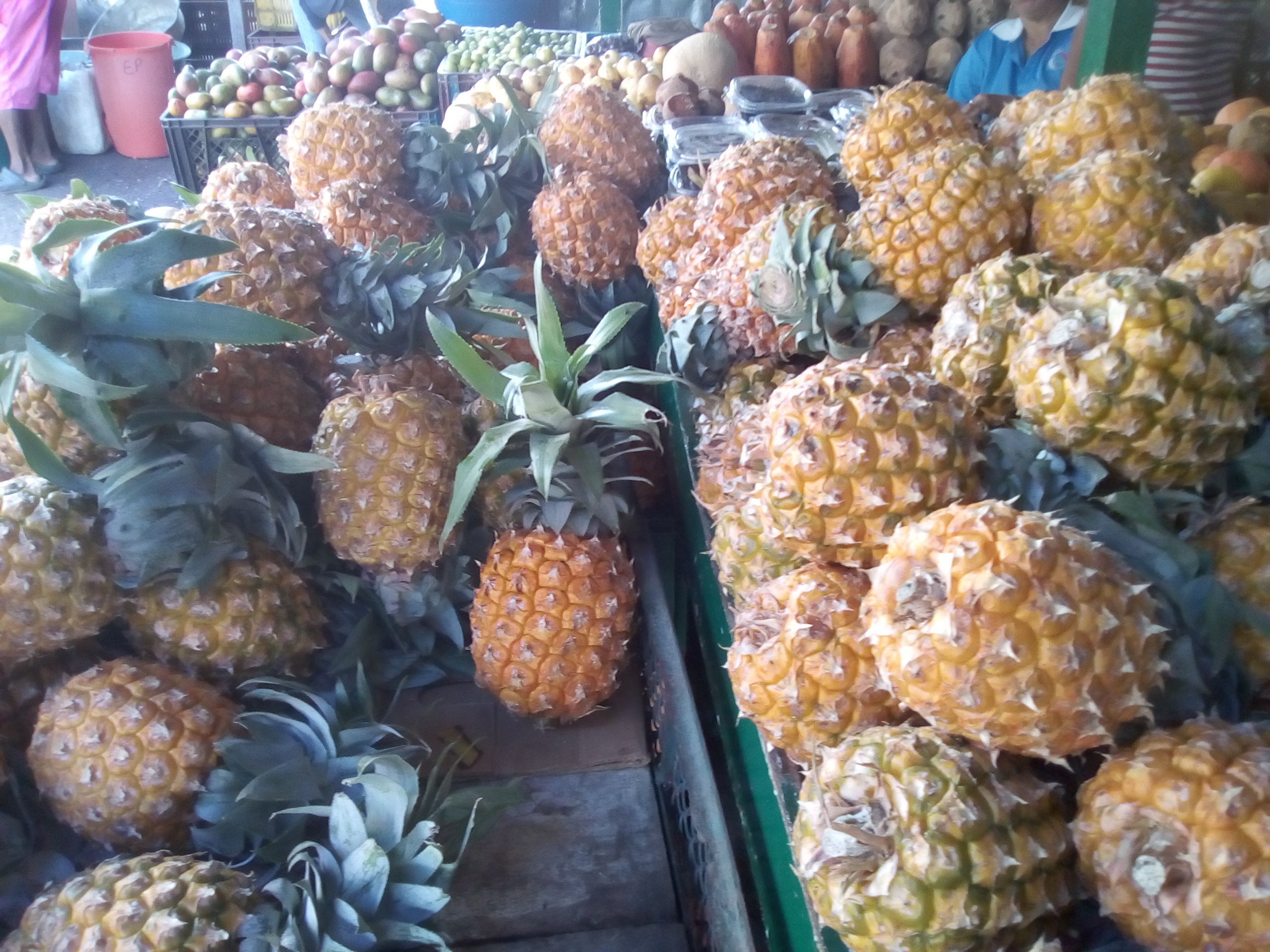 Piña