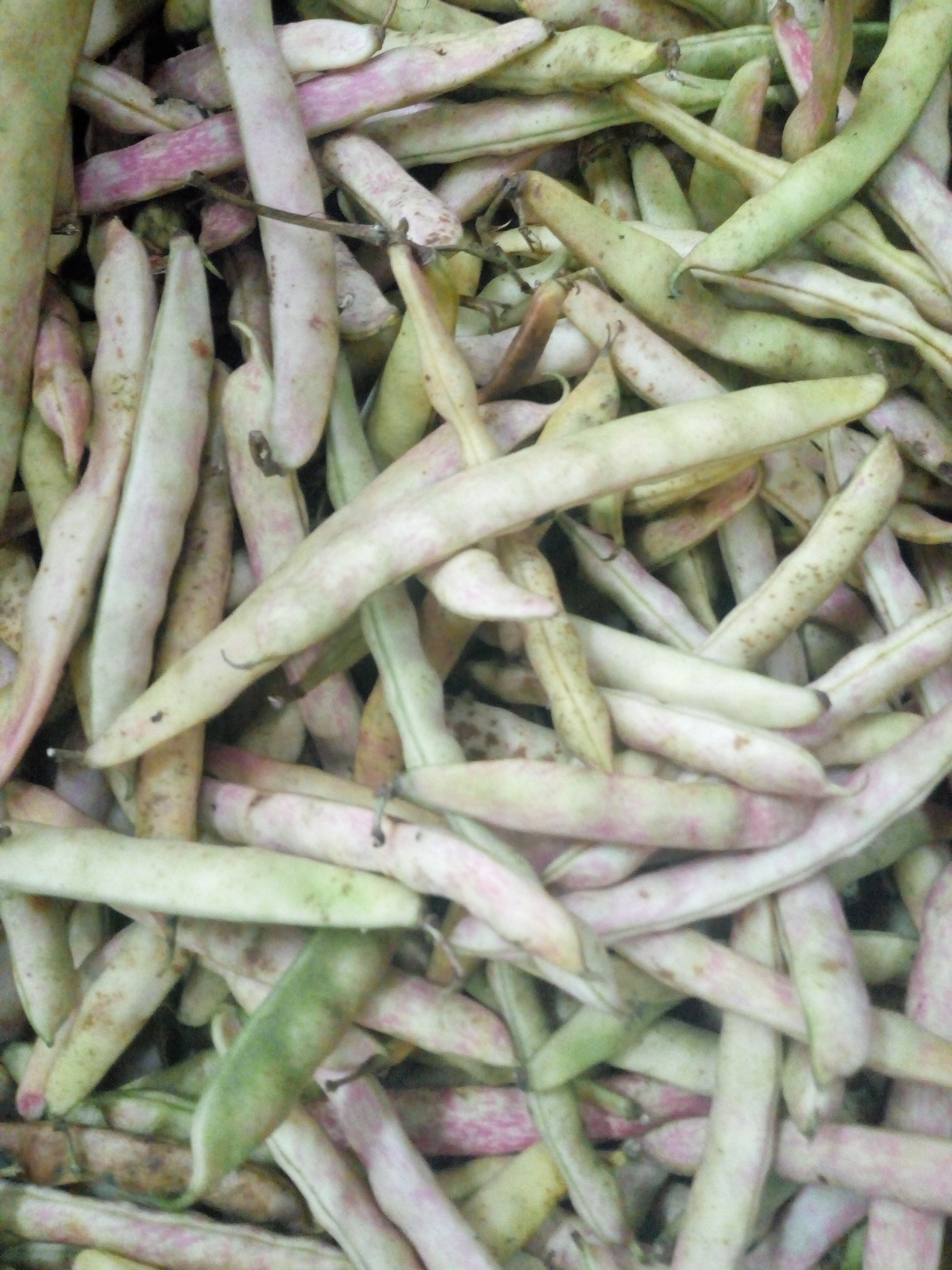Frijol cáscara