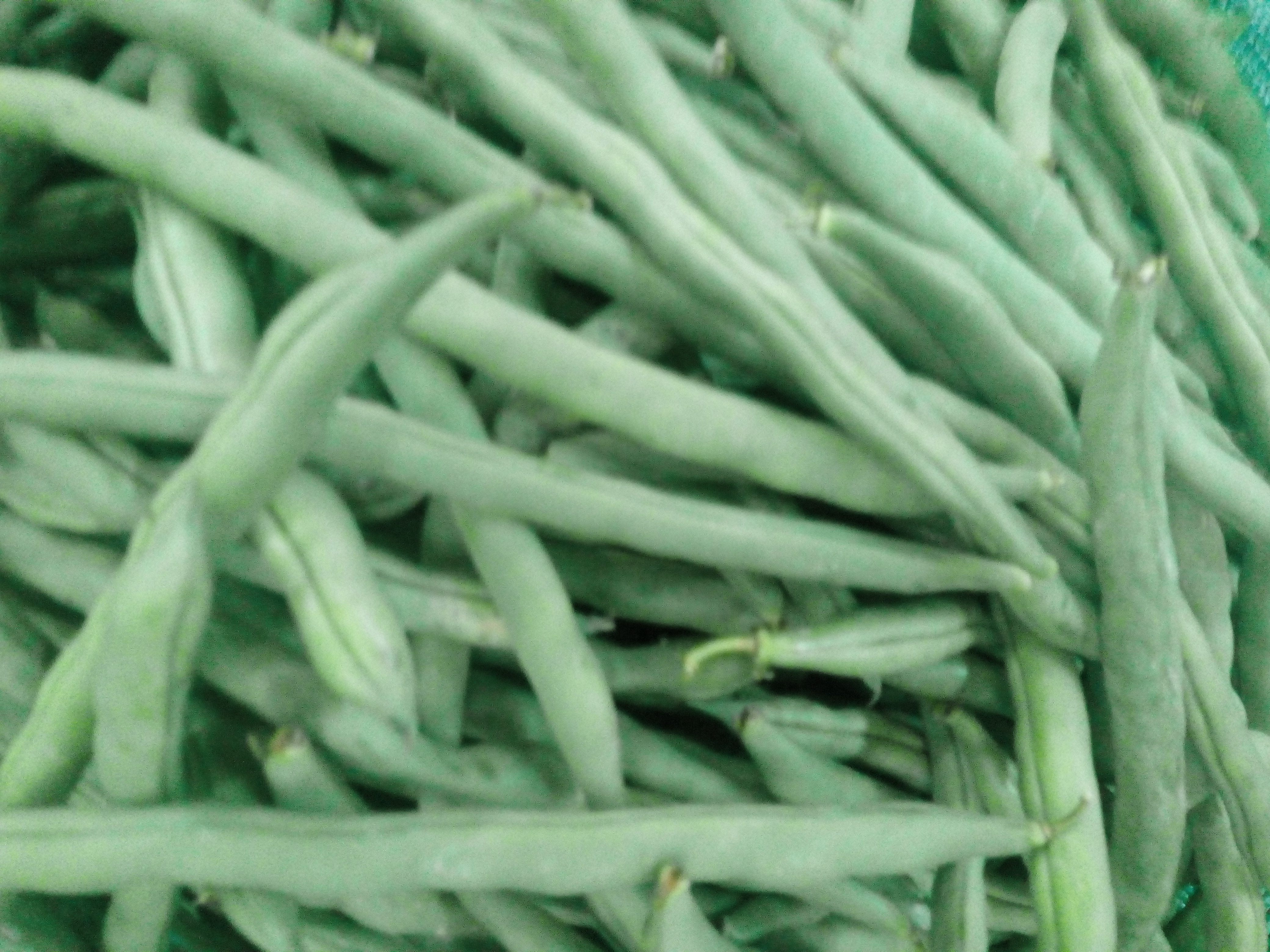 Habichuelas