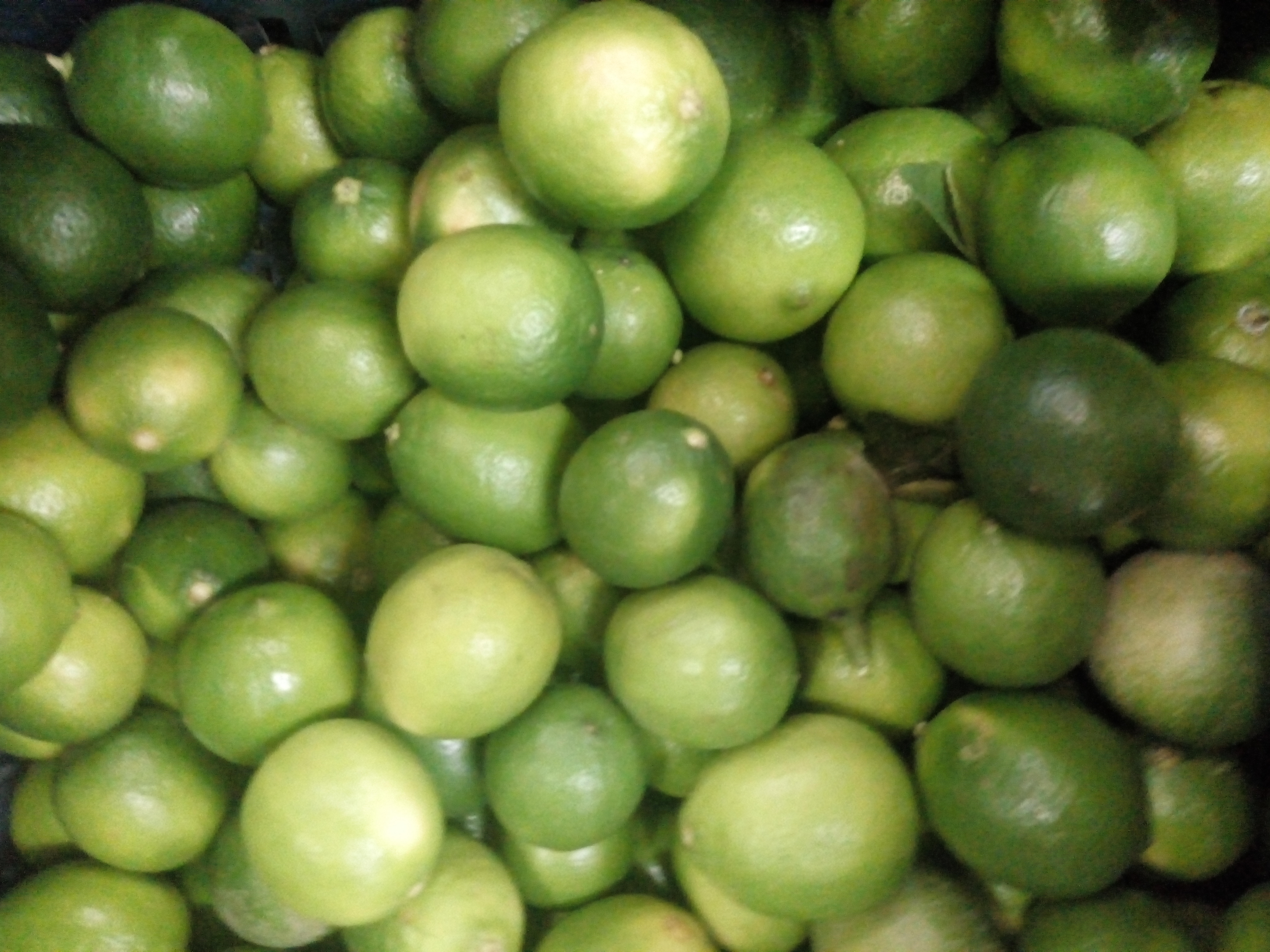 Limón