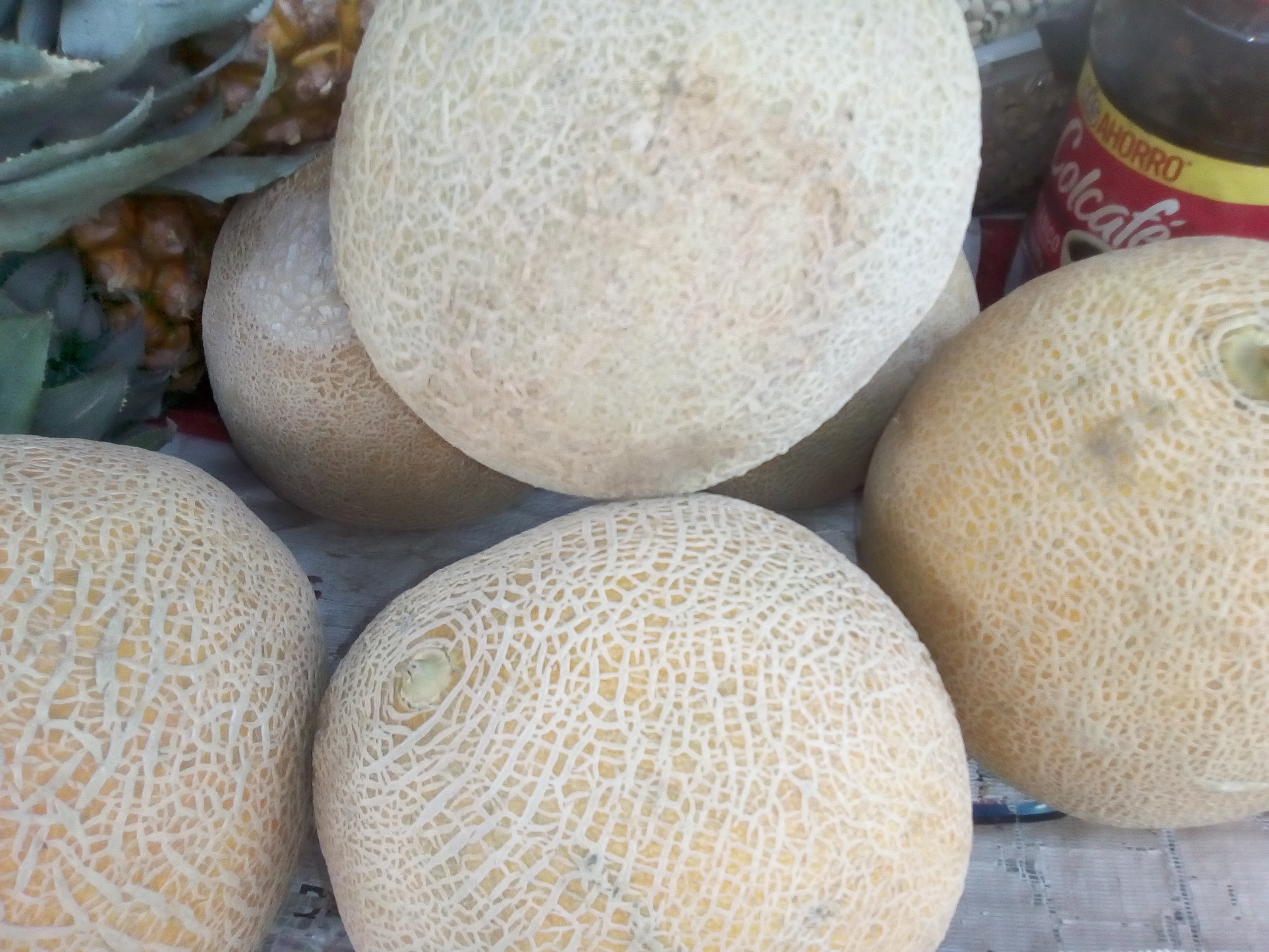 Melón