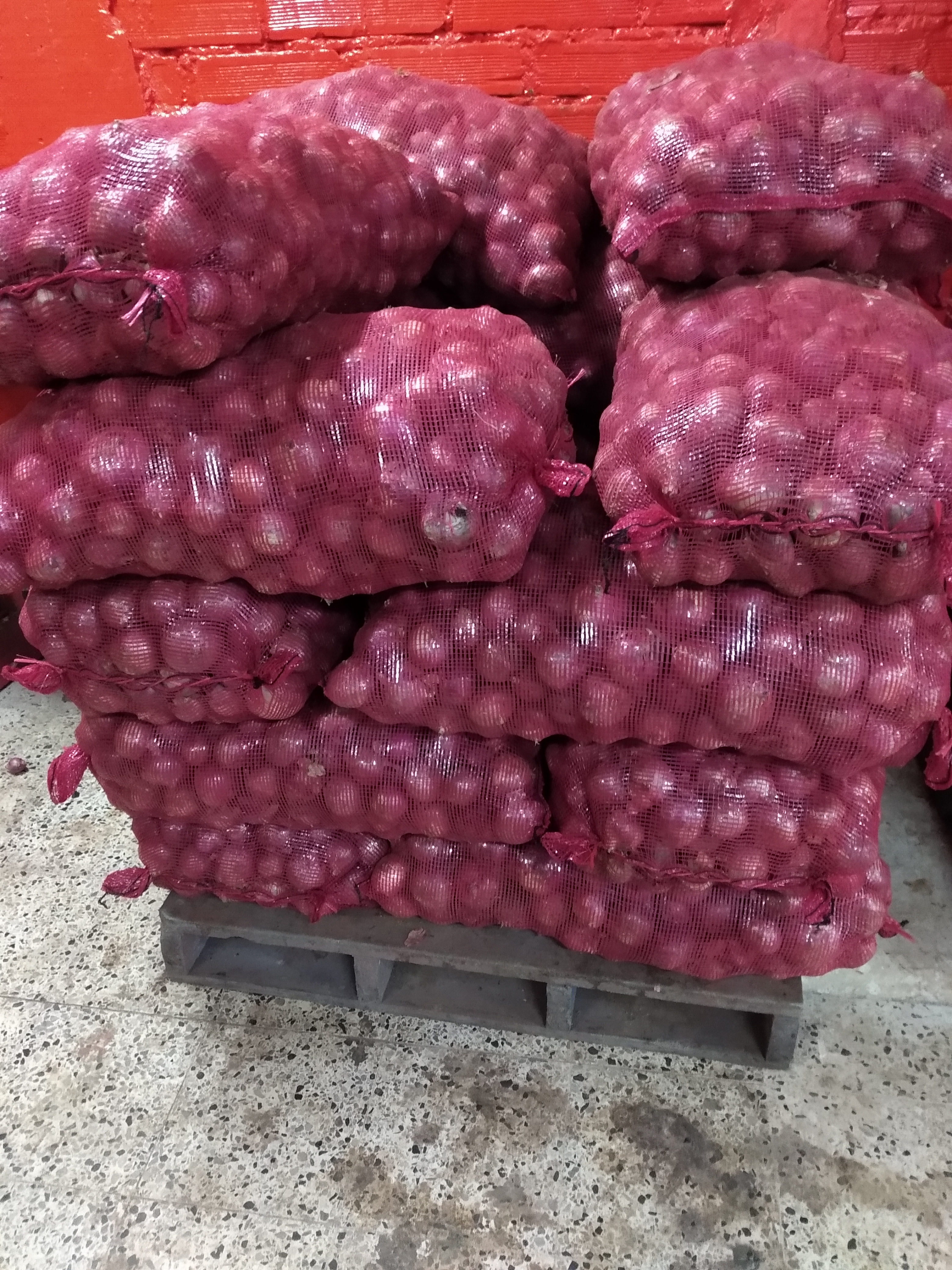 Cebolla roja ocañera bulto x 44 kg