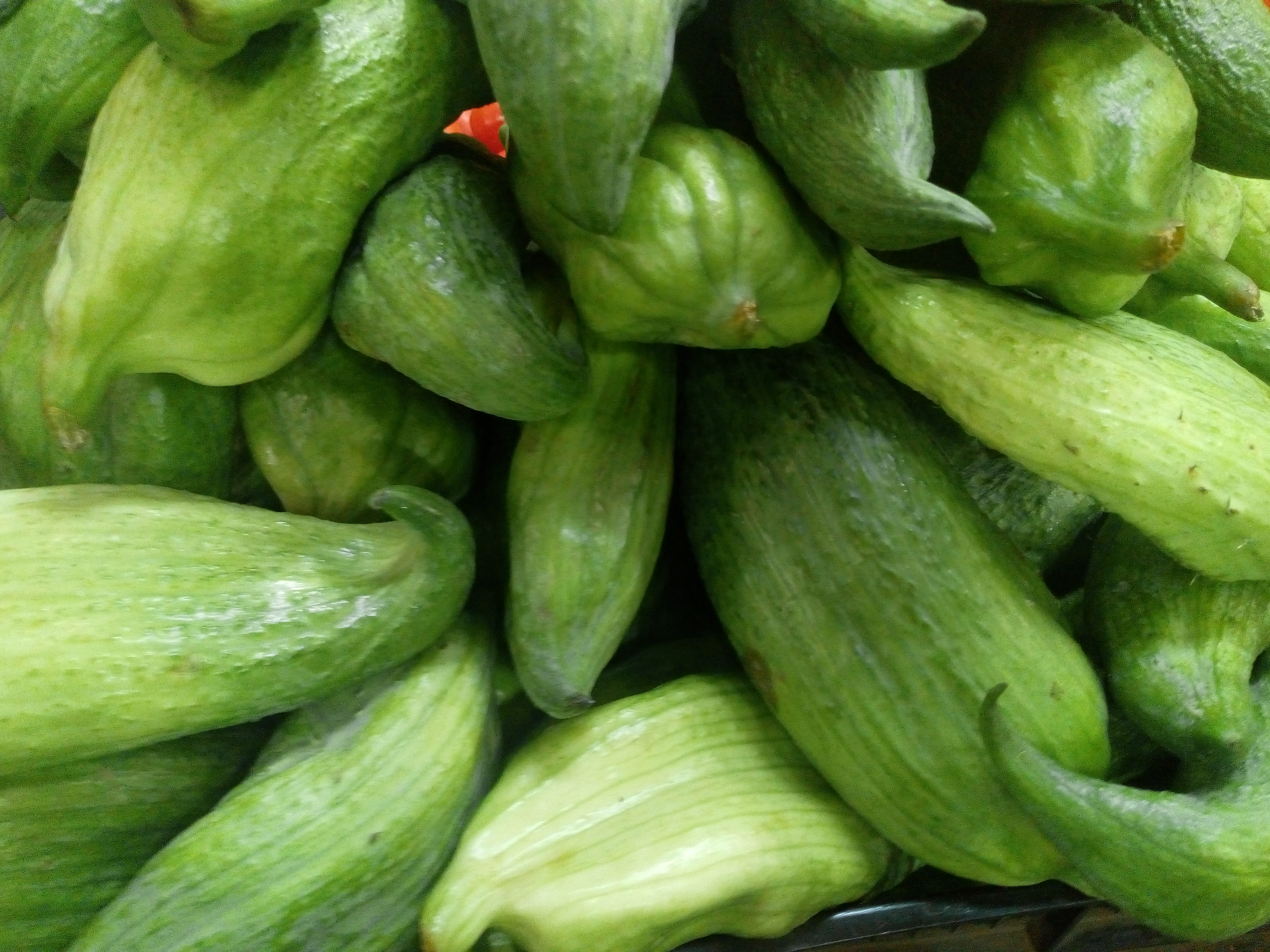 Pepino guiso