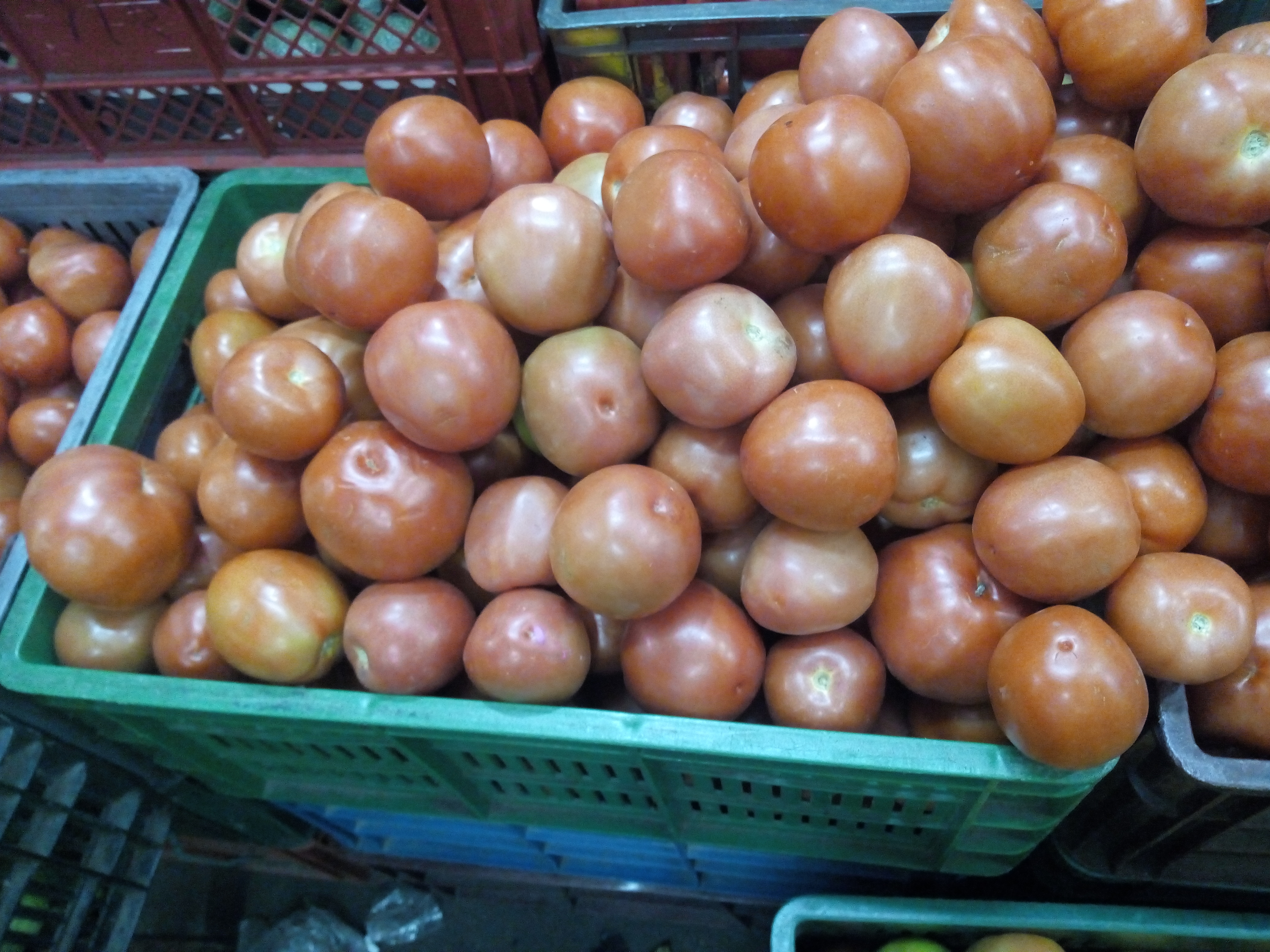 Tomate parejo