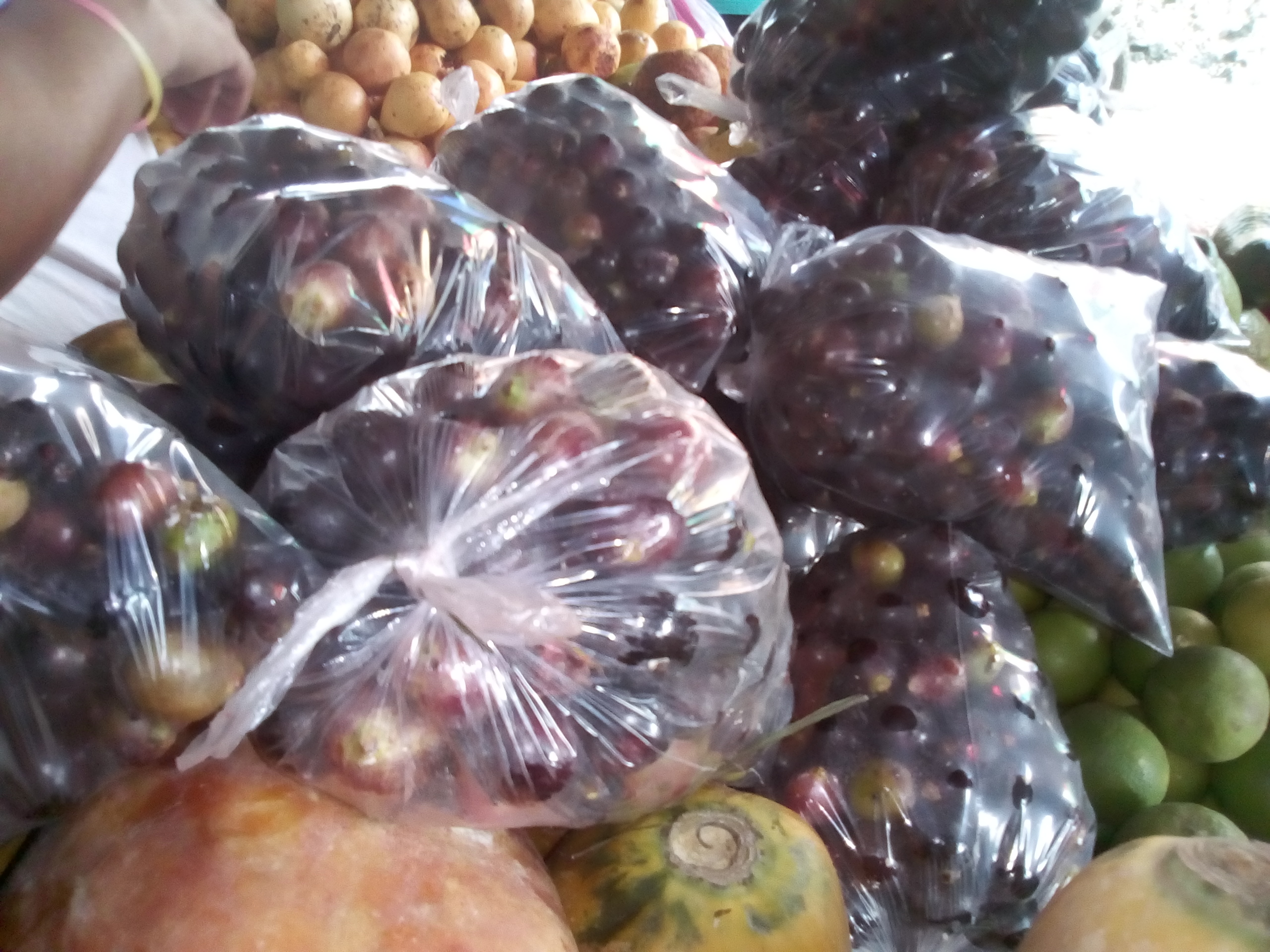 Corozo x 500 gr