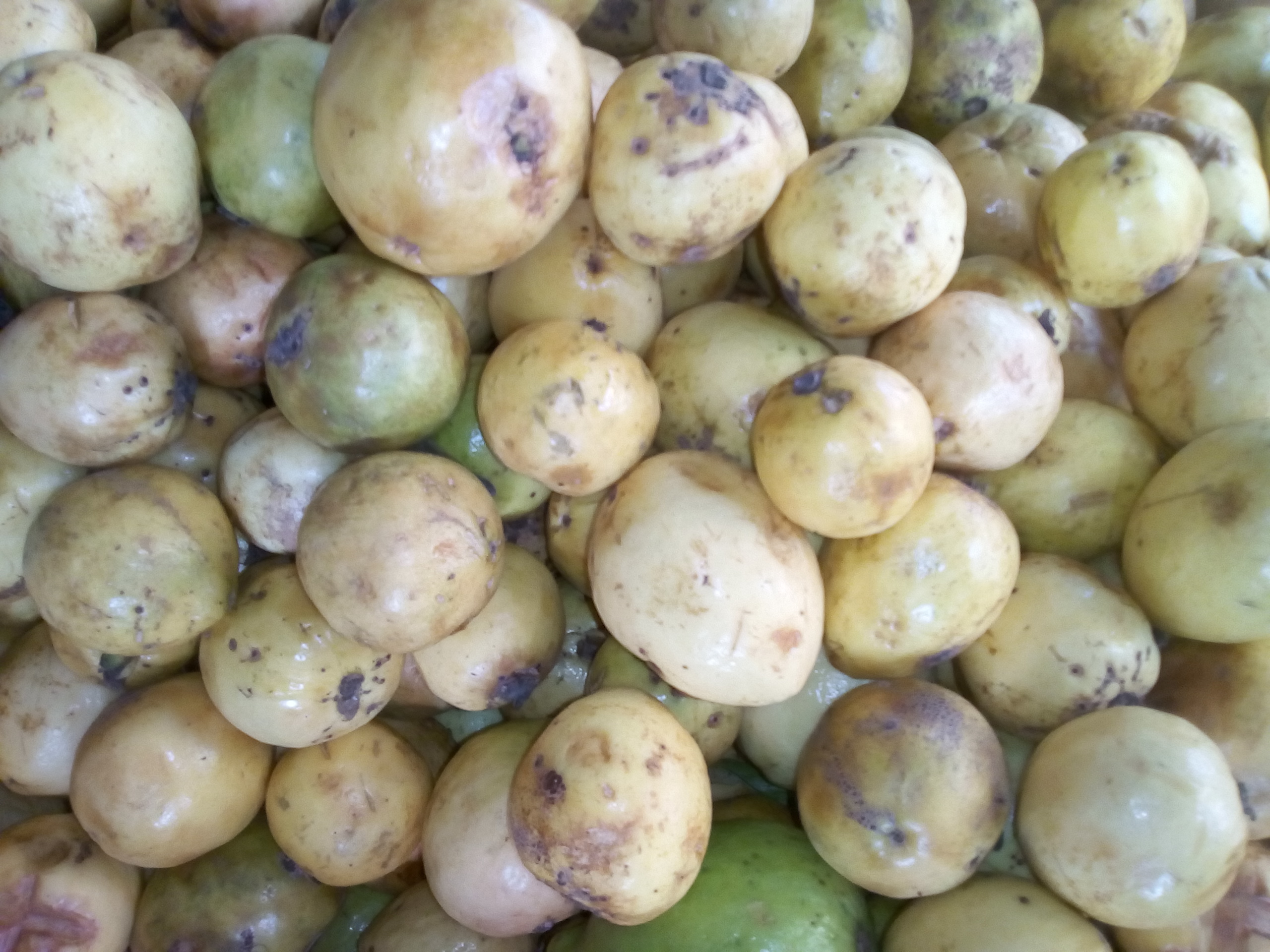 Guayaba dulce