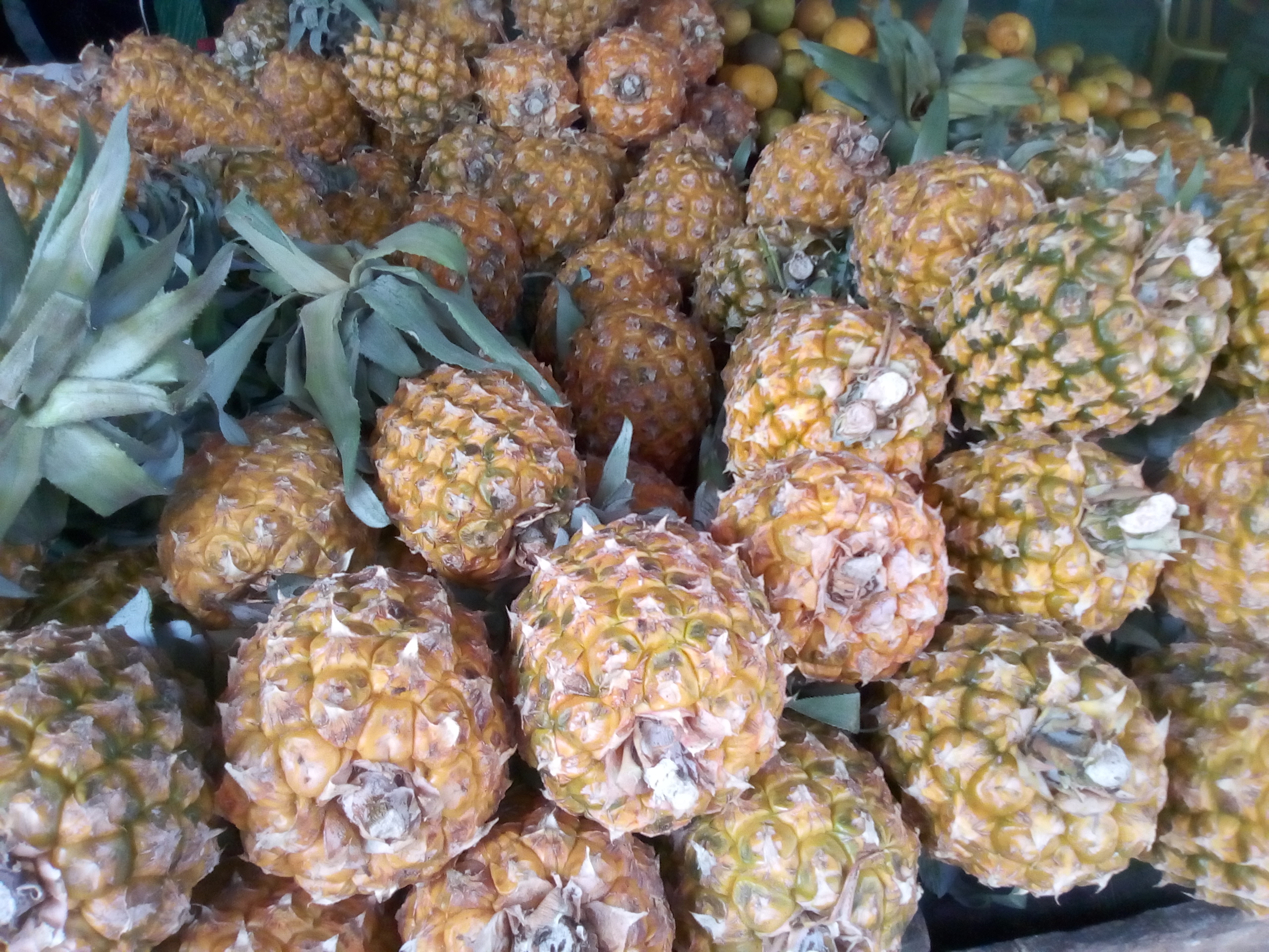 Piña