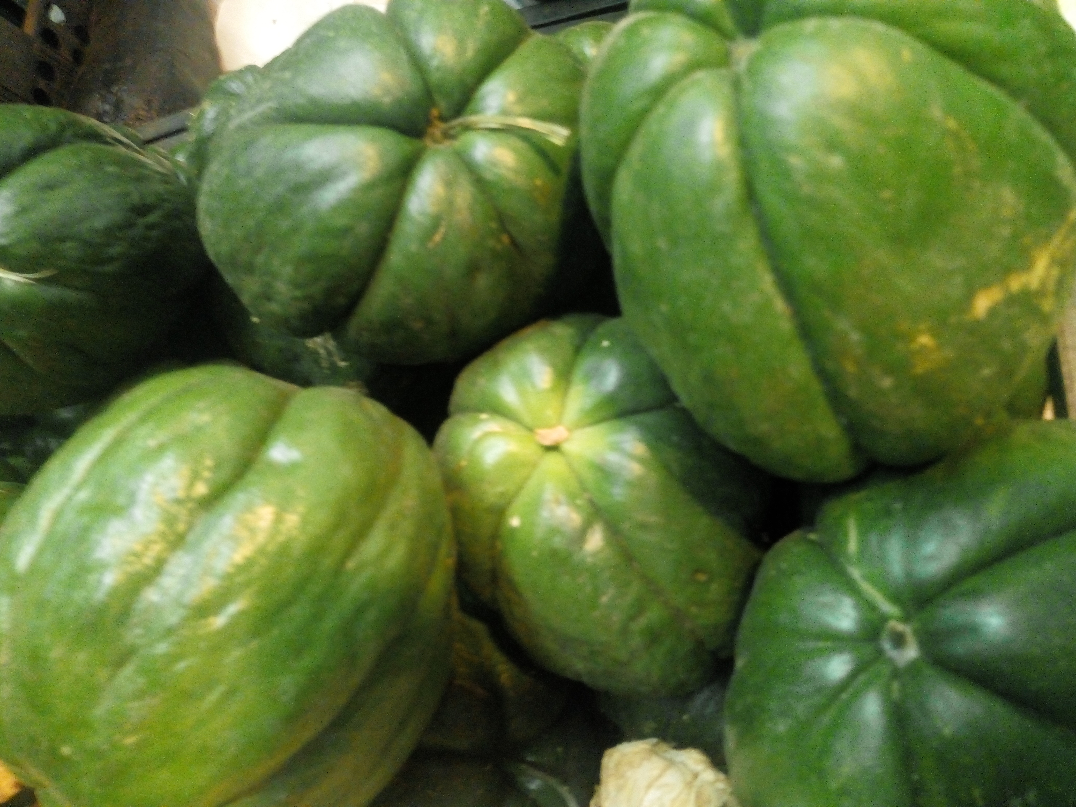 Guatila o sidra