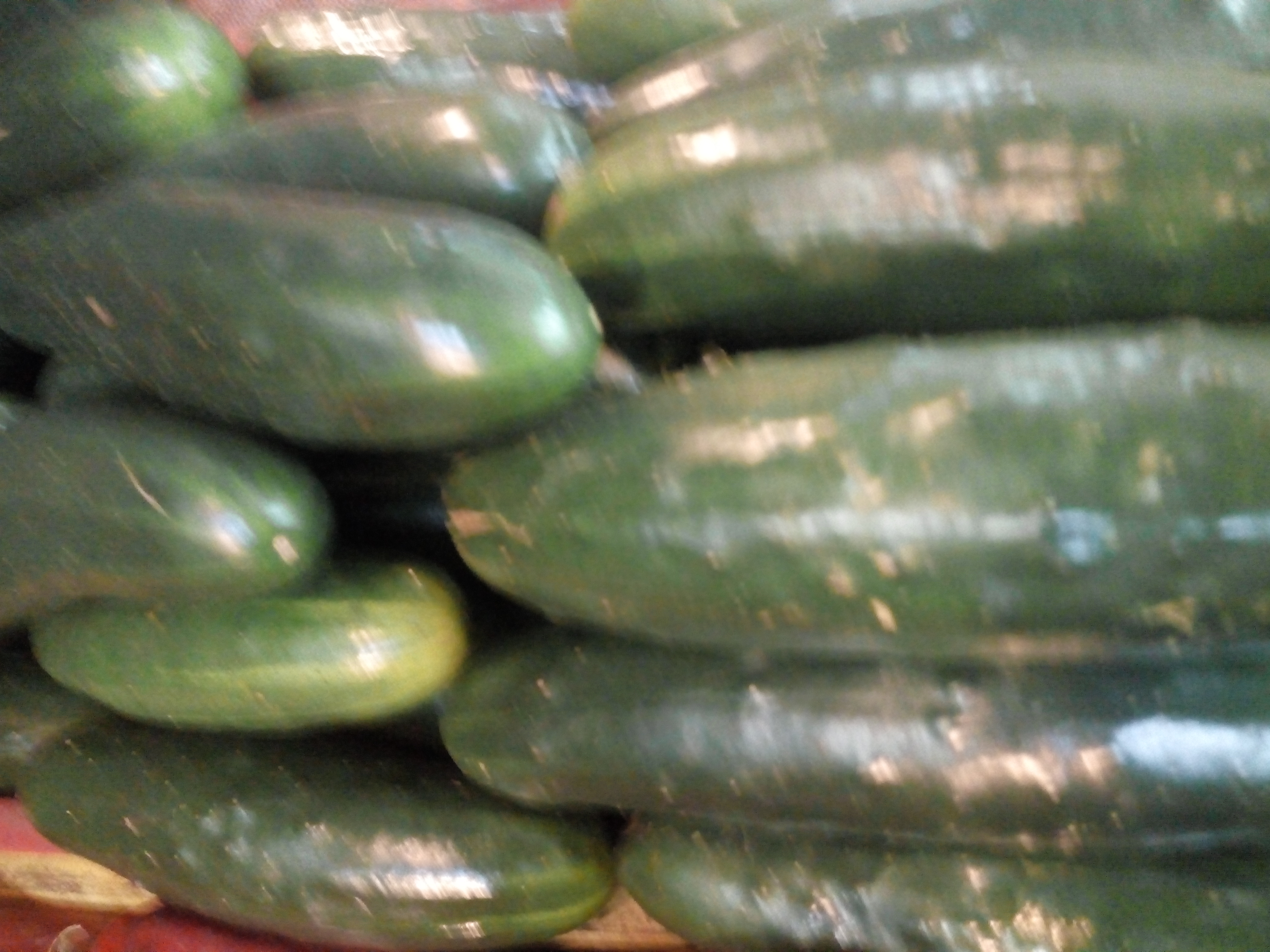 Pepino cohombro