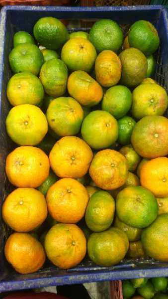Mandarina israelita