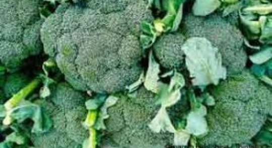 Brócoli