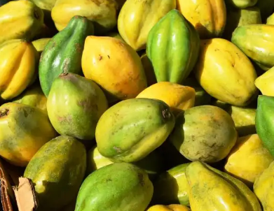 Papaya