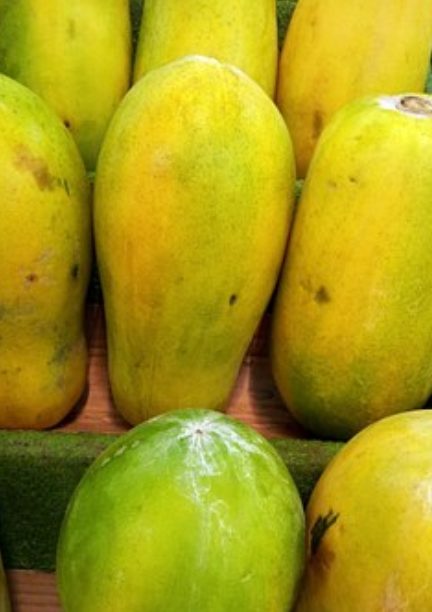 Papaya