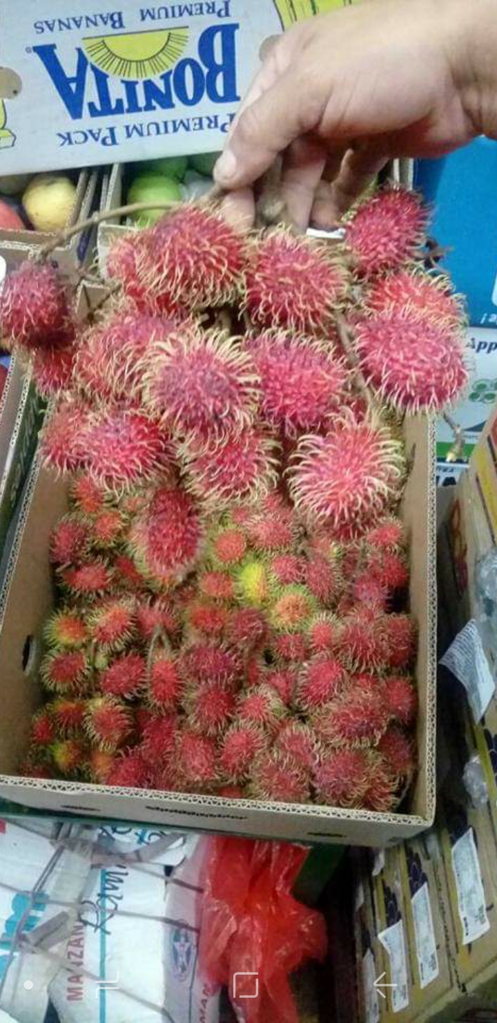Rambutan