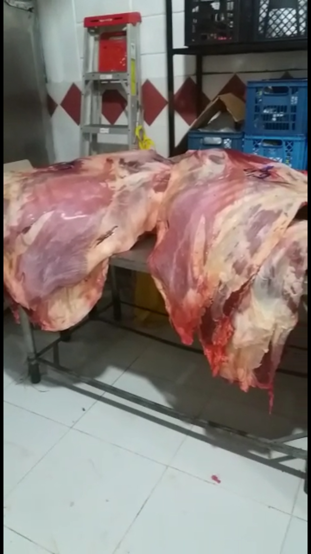 Carne de res de 1ra