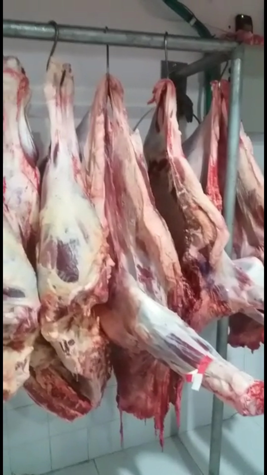 Carne de res de 1ra