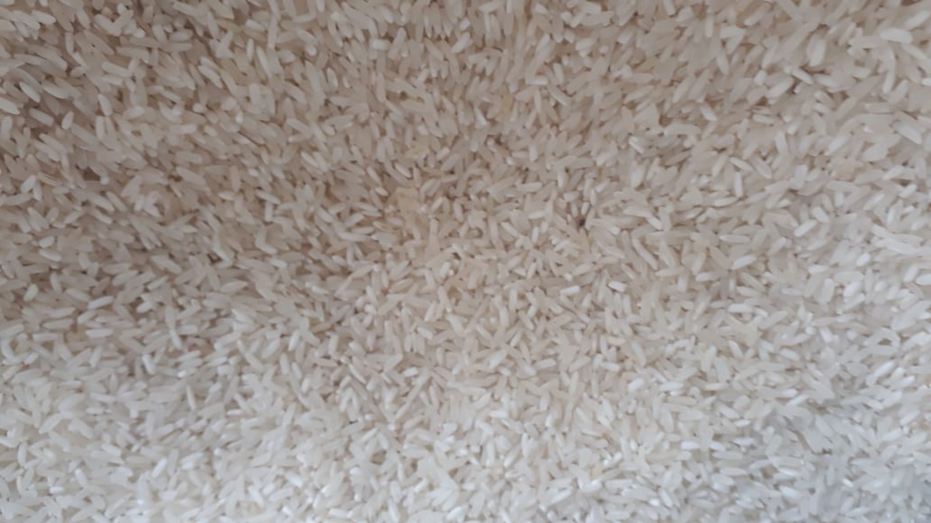 Arroz