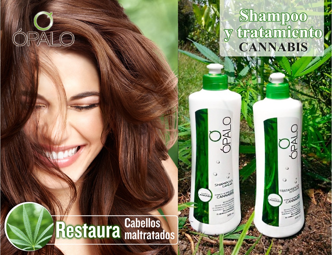 SHAMPOO CANNABIS ÓPALO 500ML