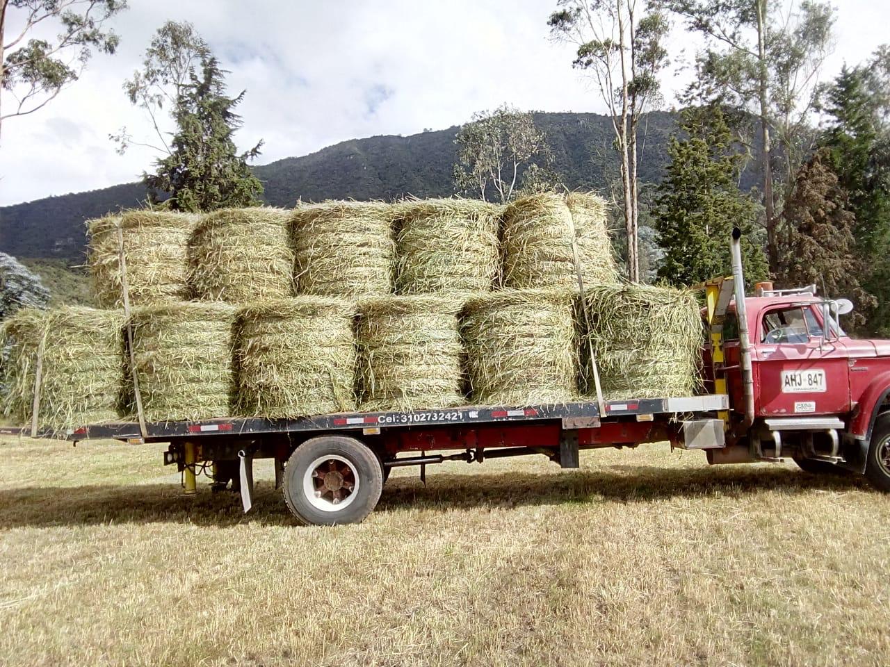 Henolaje Avena 500kg