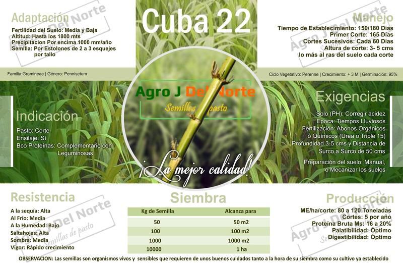 pasto de corte cuba 22