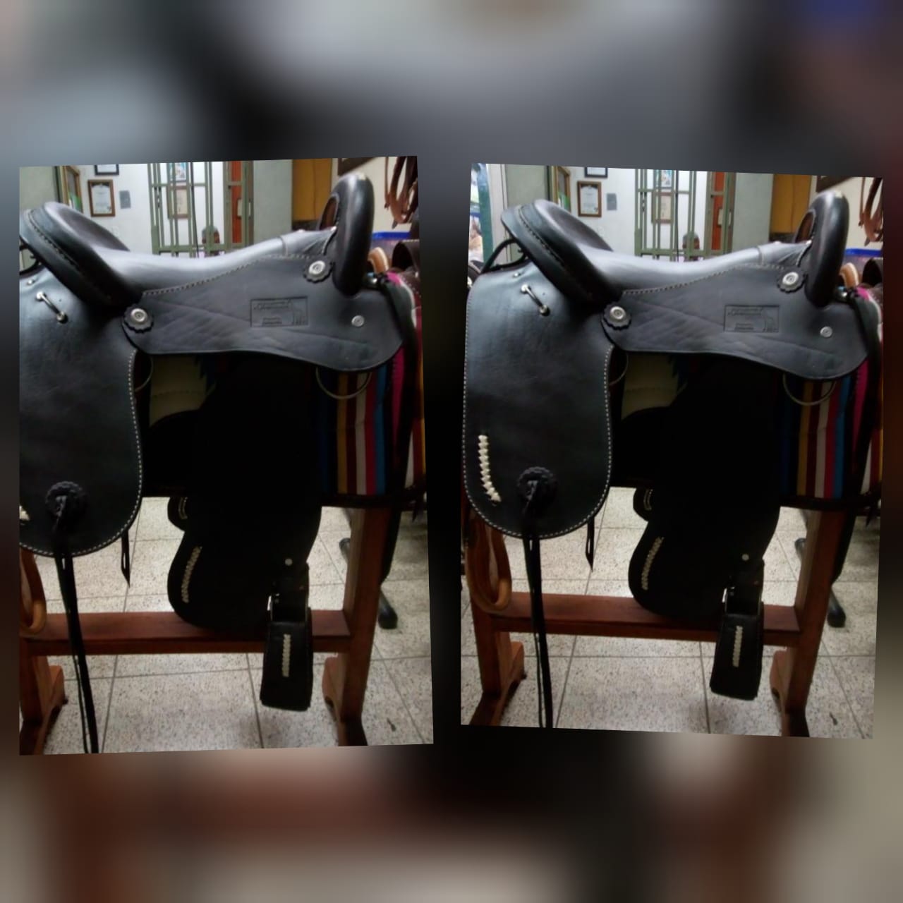 Silla de montar Equino