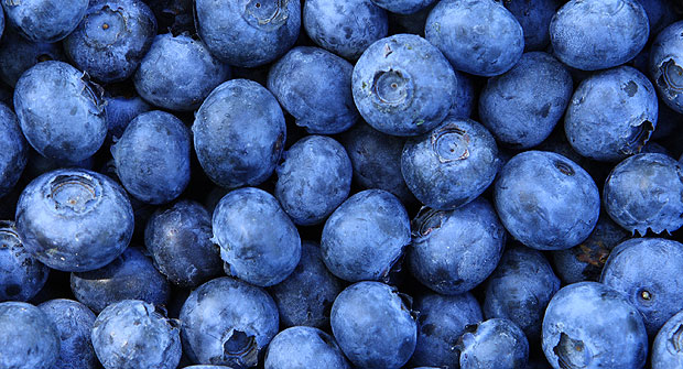 Arándanos Azules