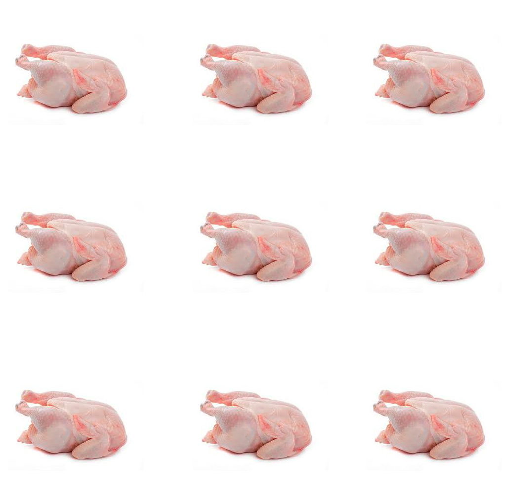Pollo entero blanco
