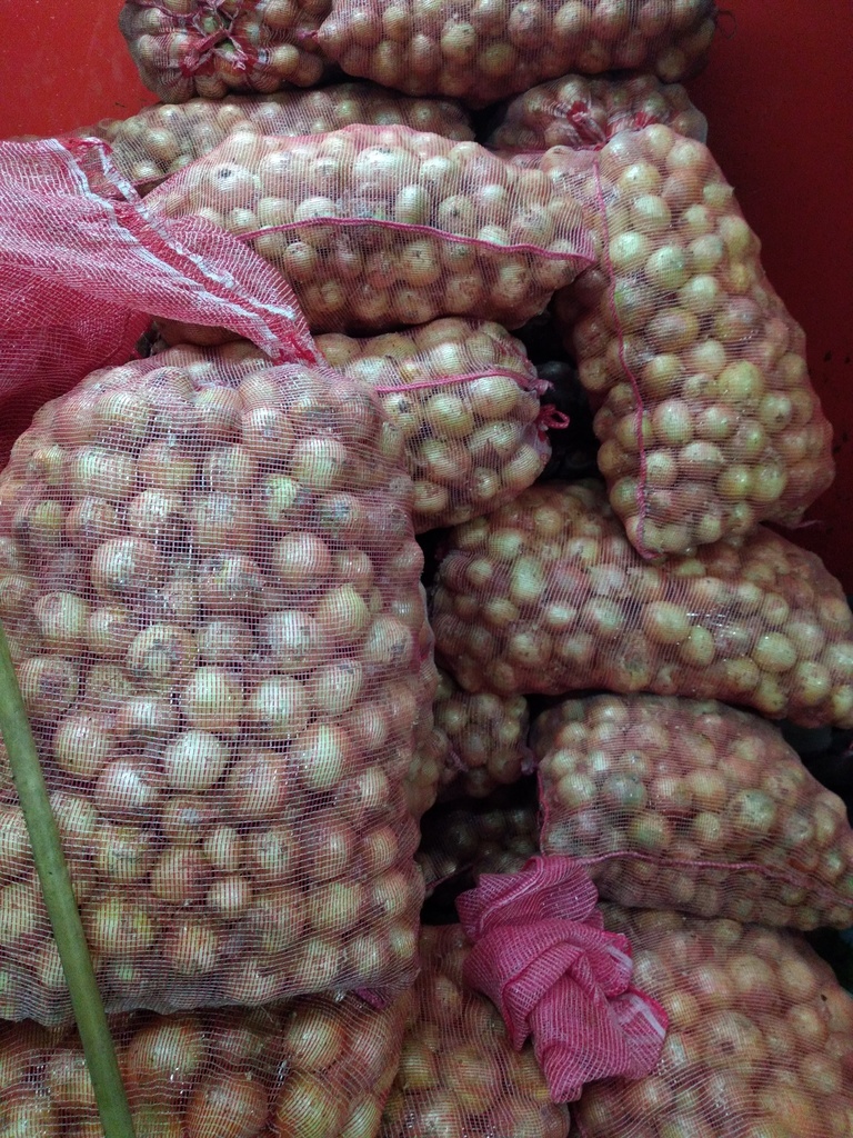 Cebolla bulto x 48 kilos