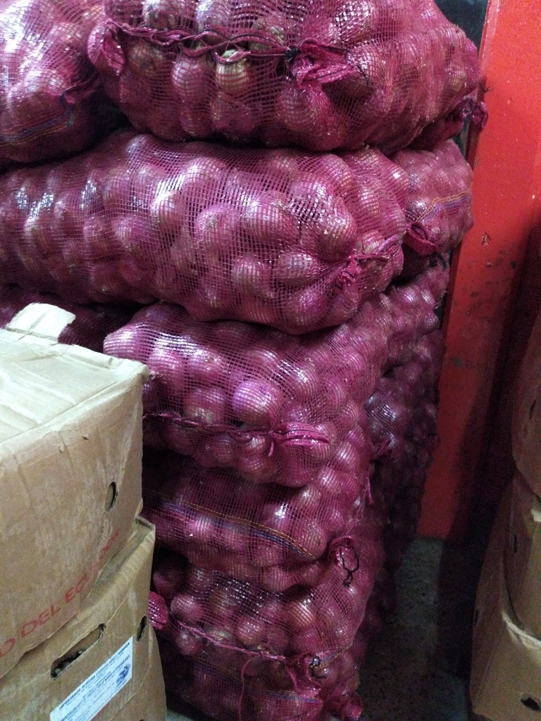 Cebollan roja bulto x 44 kg