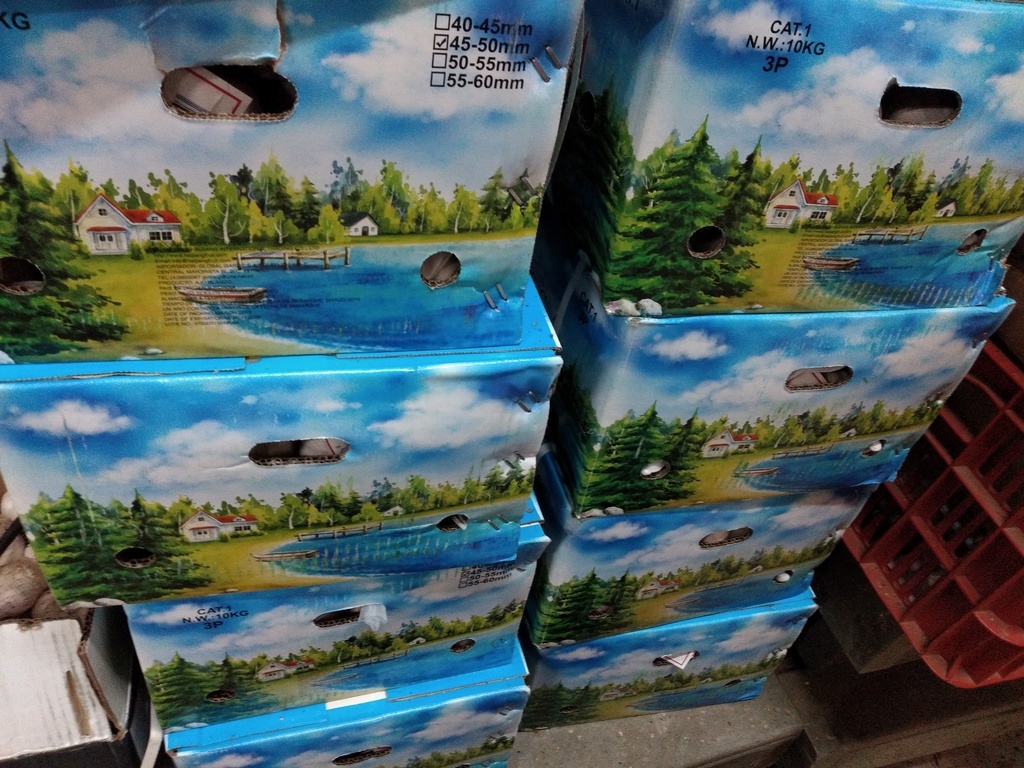 Ajo en malla caja x 10 kilos