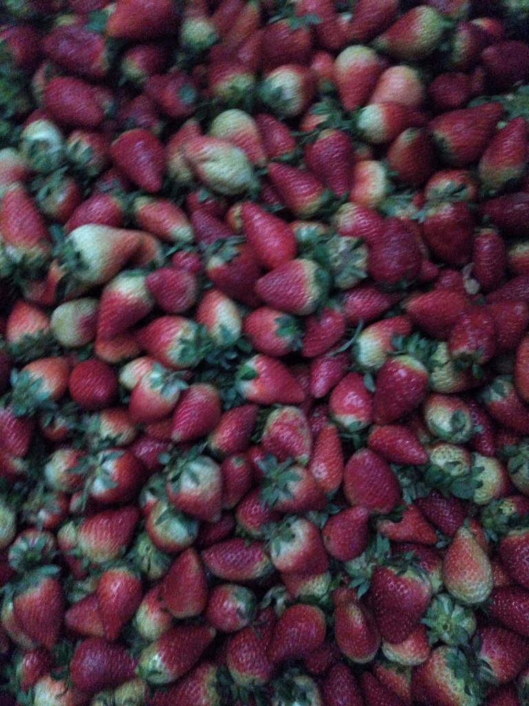 Fresas #3