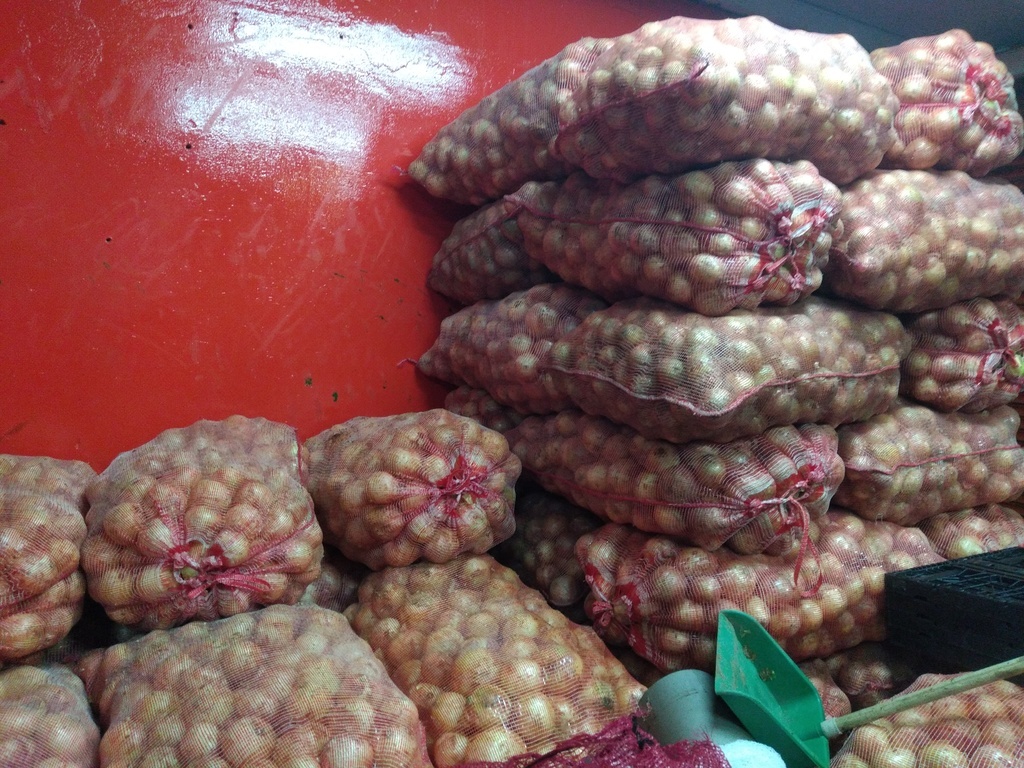 Cebolla blanca bogotana bulto x 48 kg
