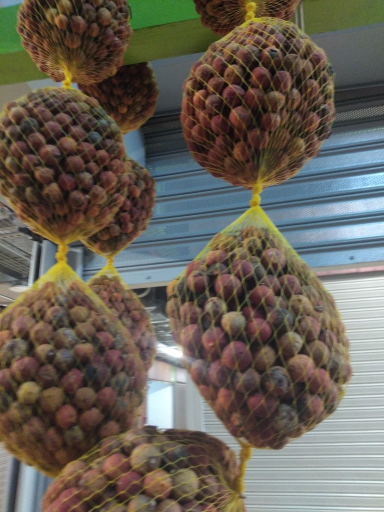 Corozo malla