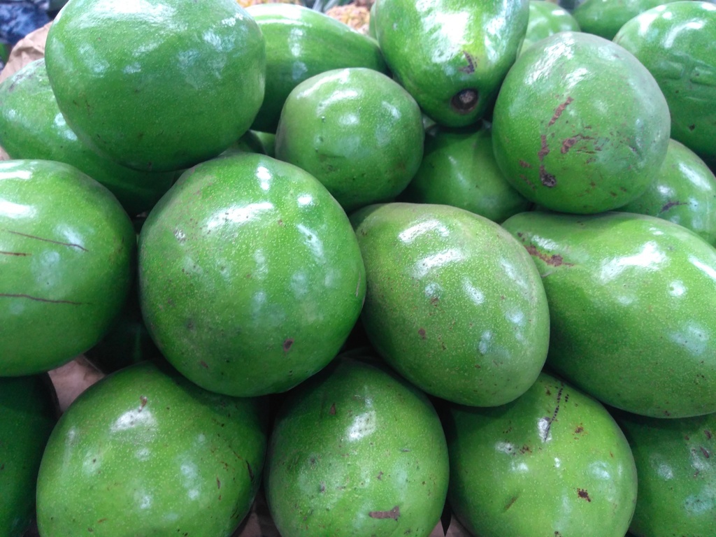Aguacate