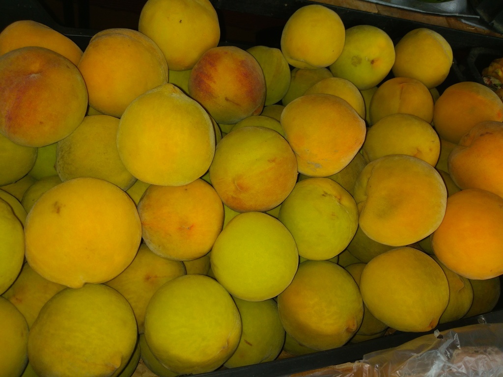 Durazno criollo