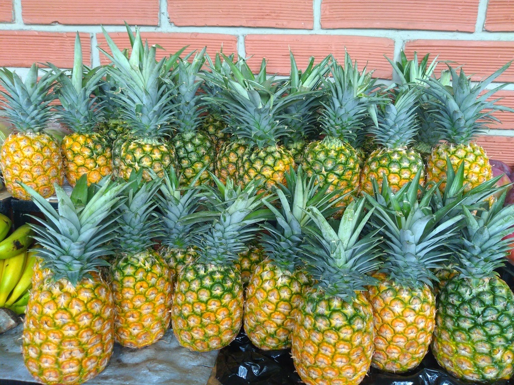 Piña oromiel
