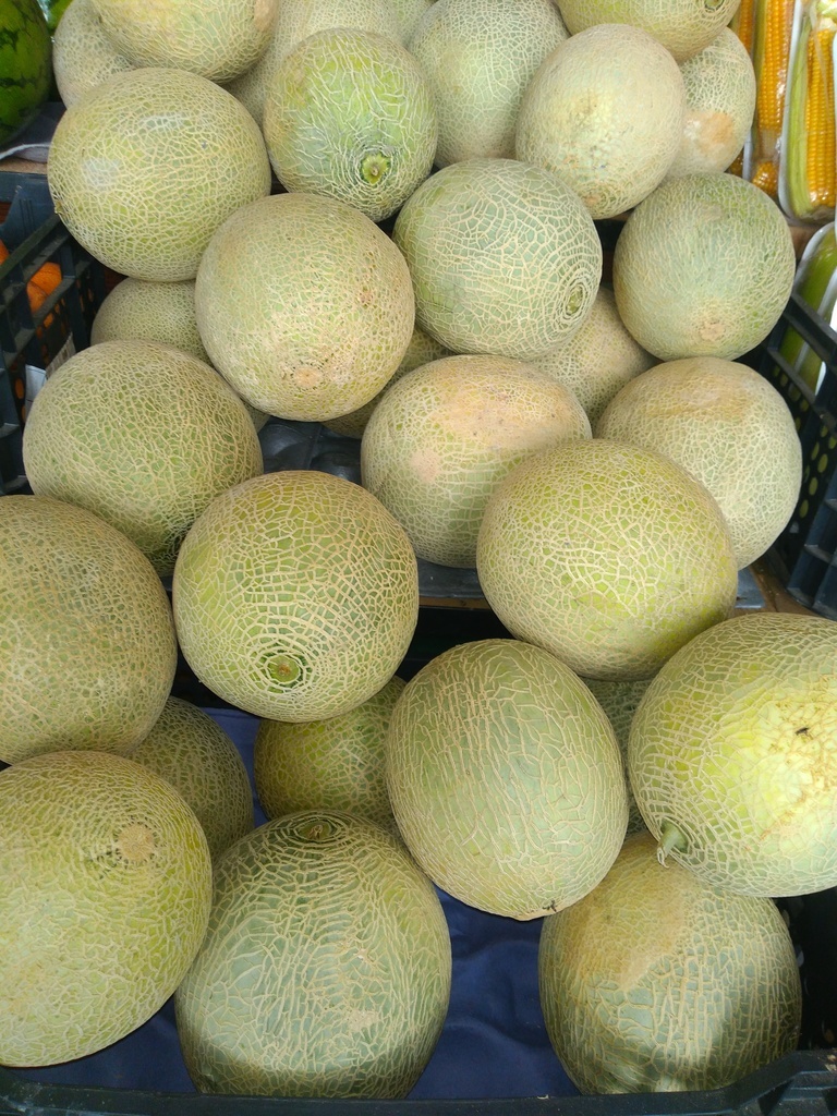 Melón