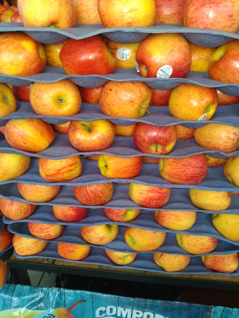 Manzana gala