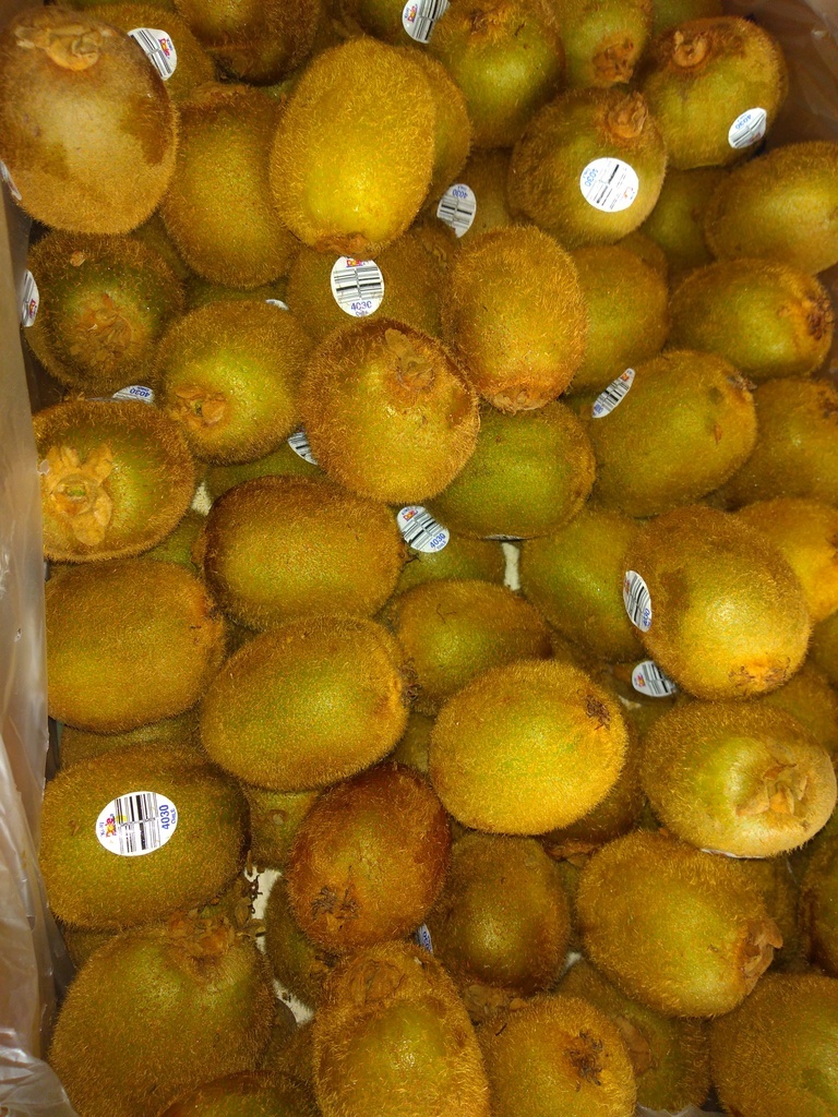 Kiwi