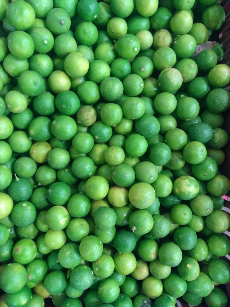 Limón