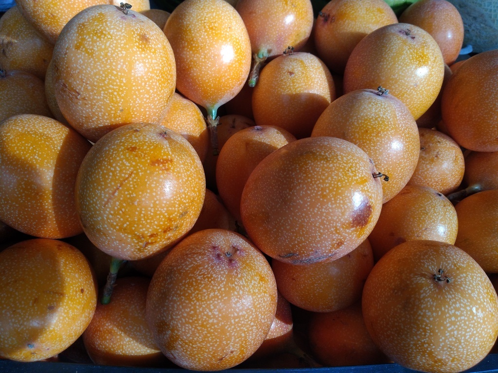 Granadilla