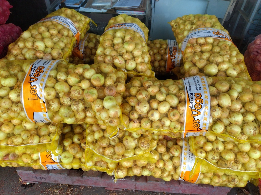 Tula cebolla blanca x 22 kg