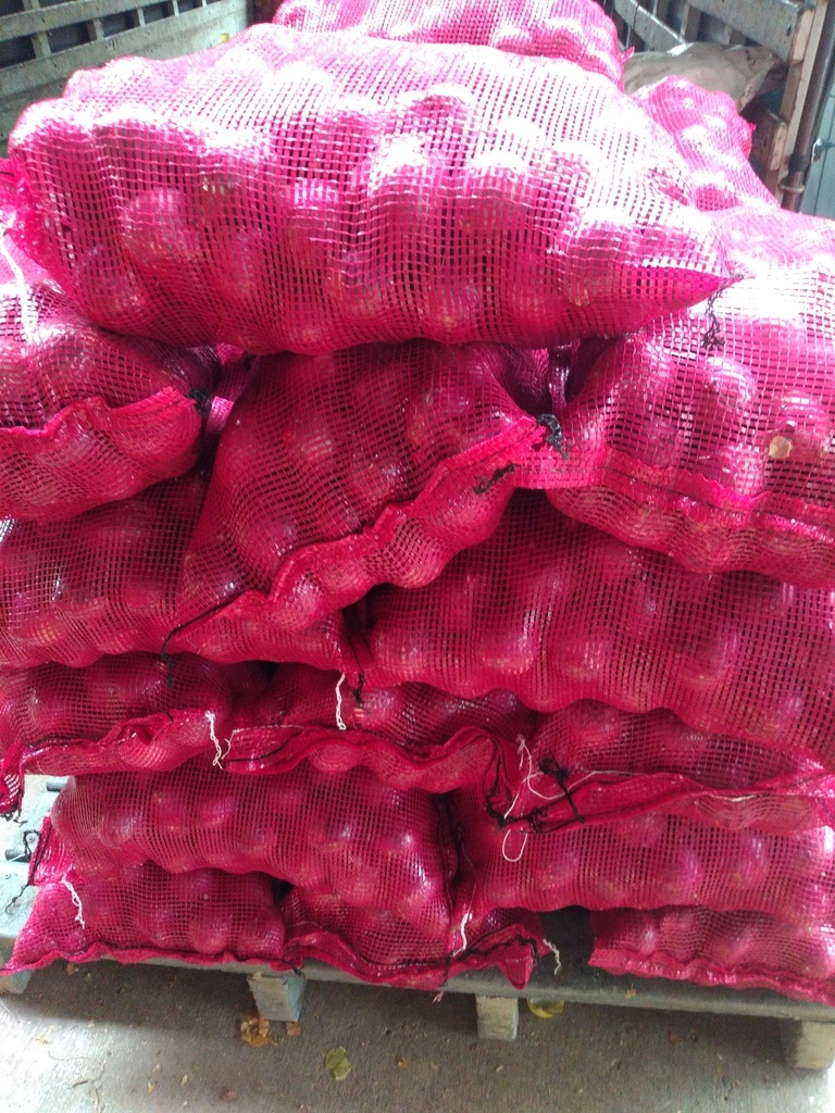 Cebolla roja Tula x 10 kg