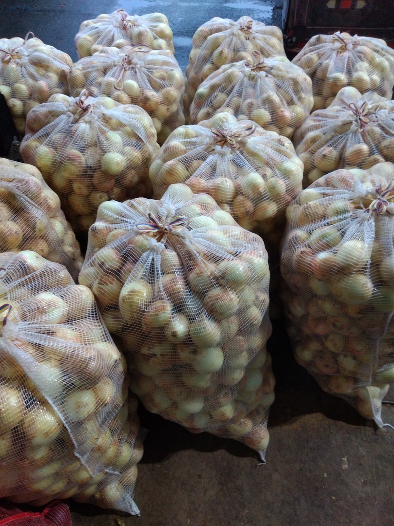 Cebolla blanca seleccionada bulto x 48 kg