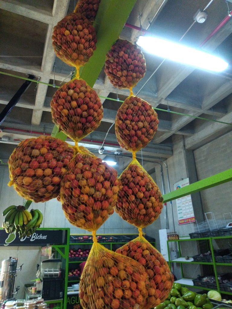 Corozo en malla