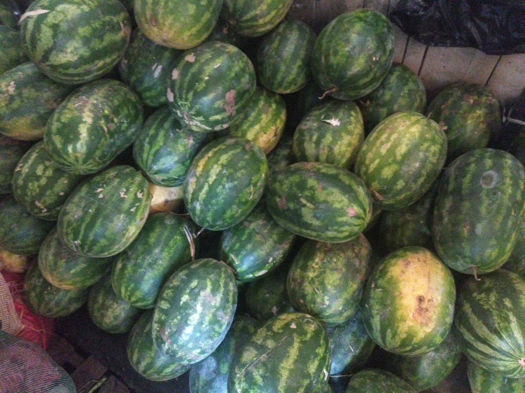 Patilla