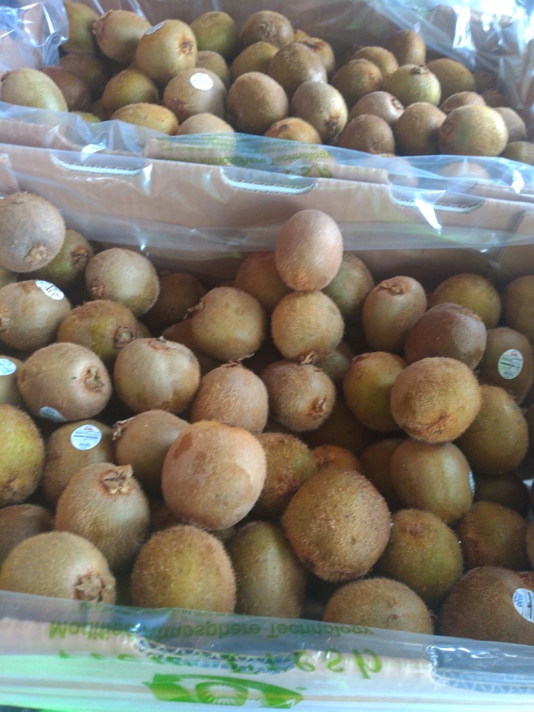 Kiwi