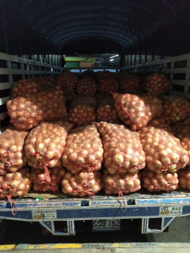 Cebolla blanca bulto x 48kg